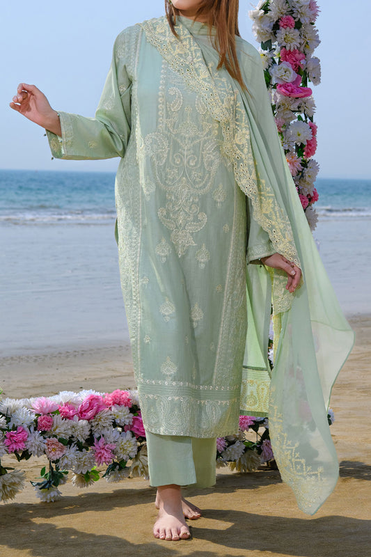 3 PIECE DIGTAL PRINT LAWN | CTN-438